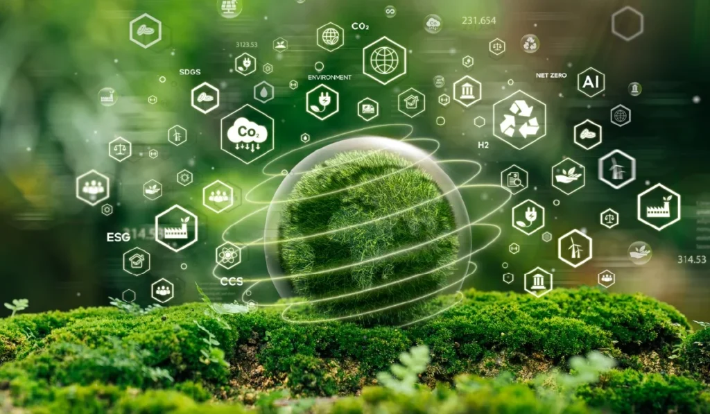 Kashyeportazza Ltd Products in 2026: